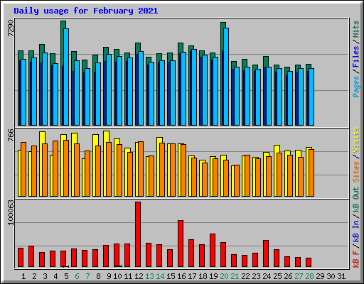 Daily usage for February 2021