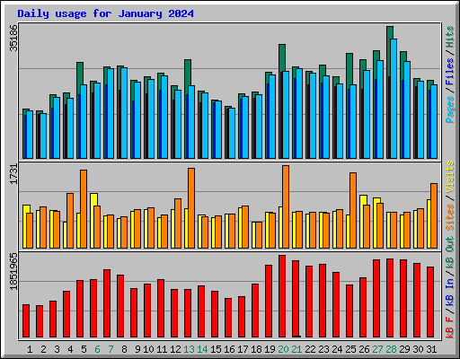 Daily usage for January 2024