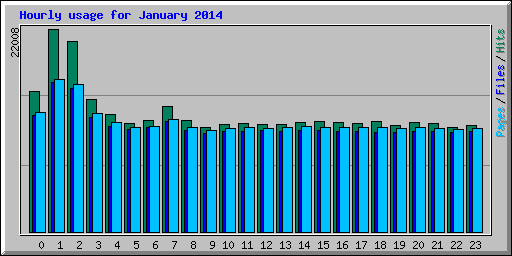 Hourly usage for January 2014