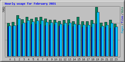 Hourly usage for February 2021