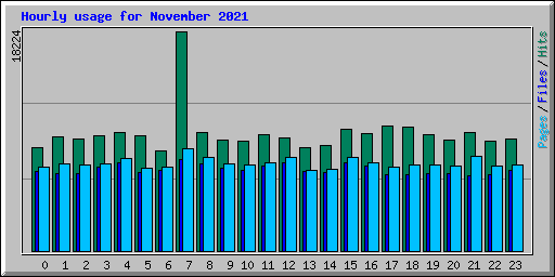 Hourly usage for November 2021