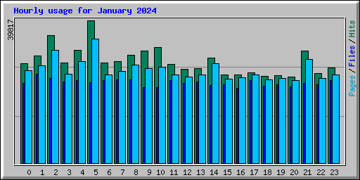 Hourly usage for January 2024